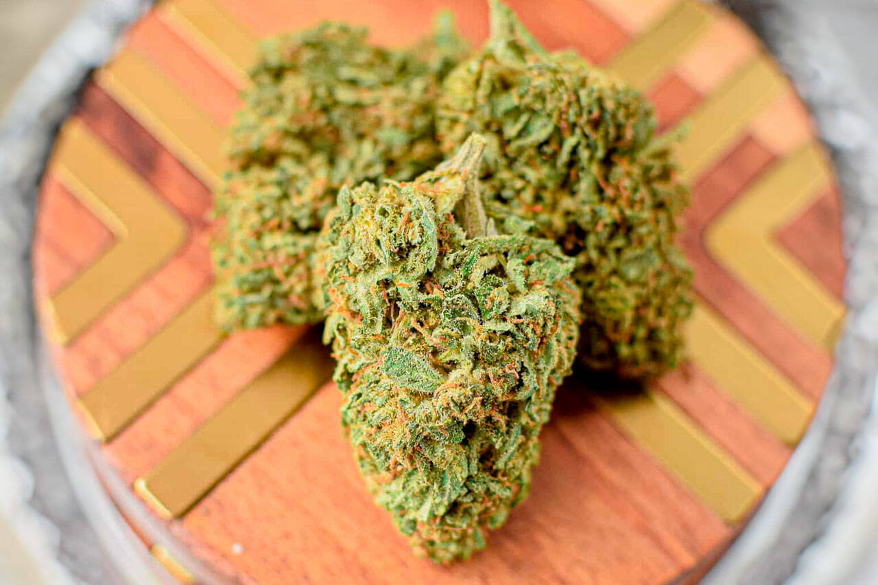 Cali Weed and Vapes bringt Tropicana Cherry Strain nach Deutschland
